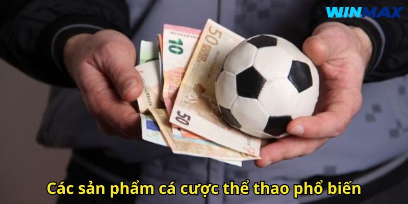 Thể Thao WinMax: Sân Chơi Cá Cược Uy Tín Đỉnh Cao 2 Các sản phẩm cá cược thể thao phổ biến
