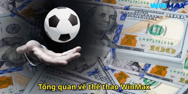 Thể Thao WinMax: Sân Chơi Cá Cược Uy Tín Đỉnh Cao 1 Tổng quan về thể thao WinMax